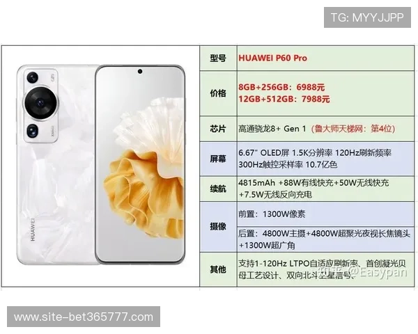 2024年bet365中国网址登录指南，确保顺畅体验的详细步骤