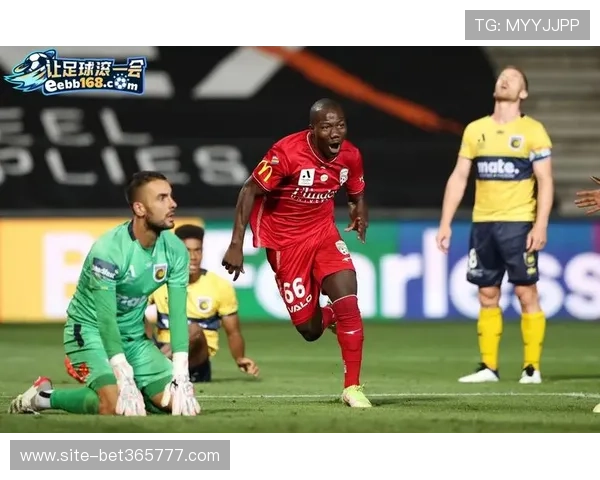 bet16瑞丰最新优惠资讯，及时掌握各种促销活动把握投注良机