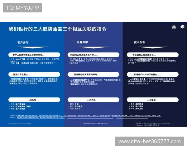 速发国际365，智能化管理提升国际货运效率与客户满意度