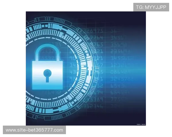 365日博集团官网安全保障措施，保障用户资金安全与个人隐私安全的全面介绍