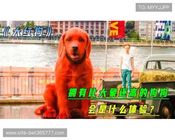 万狗体育平台安全保障措施全面解析确保用户信息与观看内容的双重安全 万狗体育平台安全保障措施全面解析确保用户信息与观看内容的双重安全